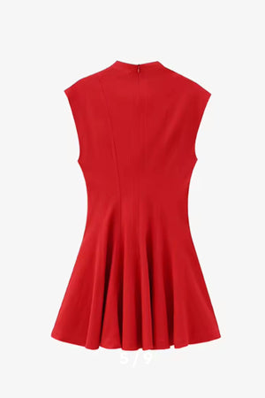 Red Sleeveless Pleated Mini Skater Dress